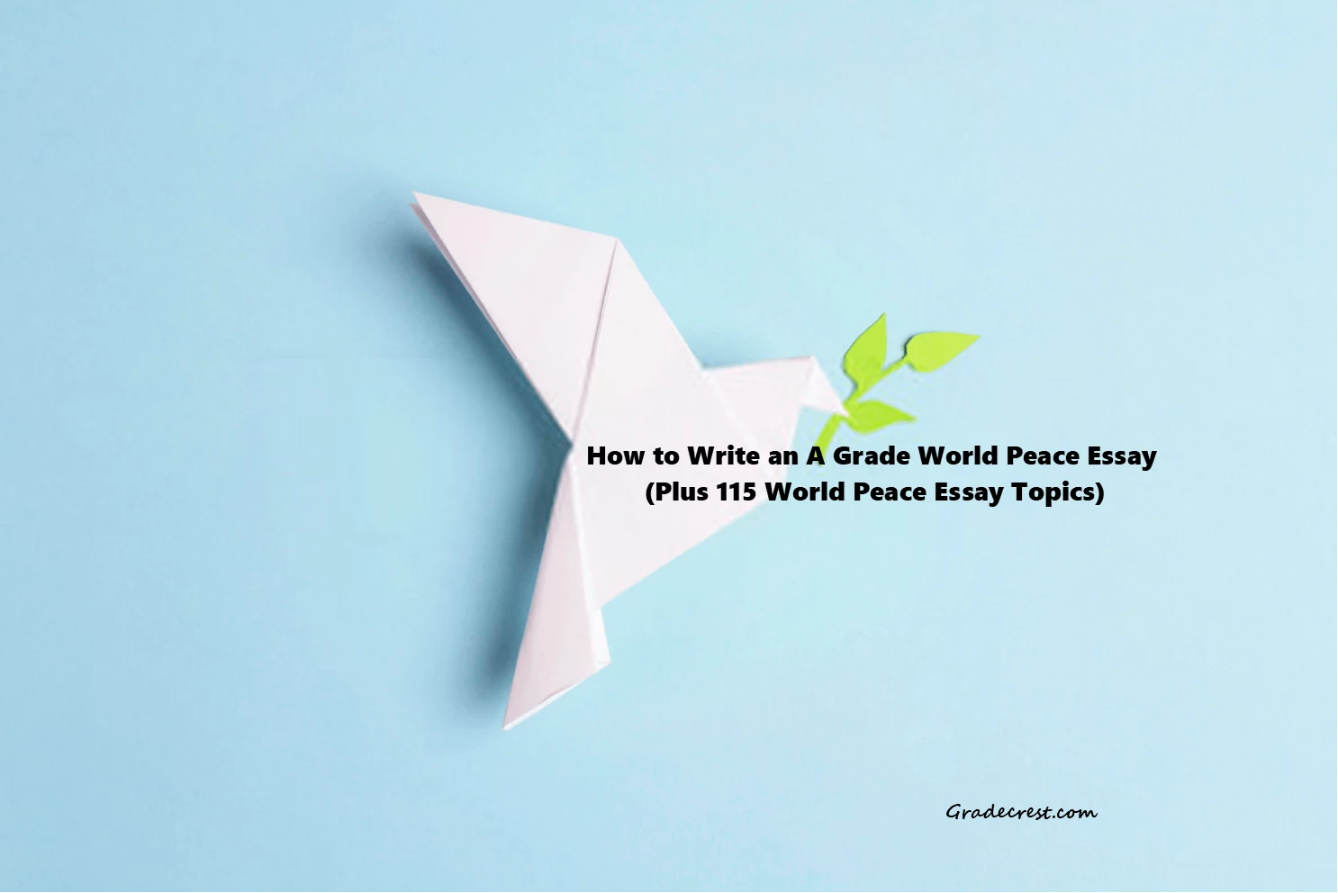 How to write a world peace essay guide